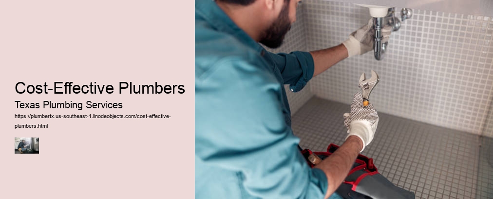 Cost-Effective Plumbers