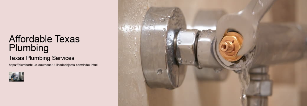 Affordable Texas Plumbing